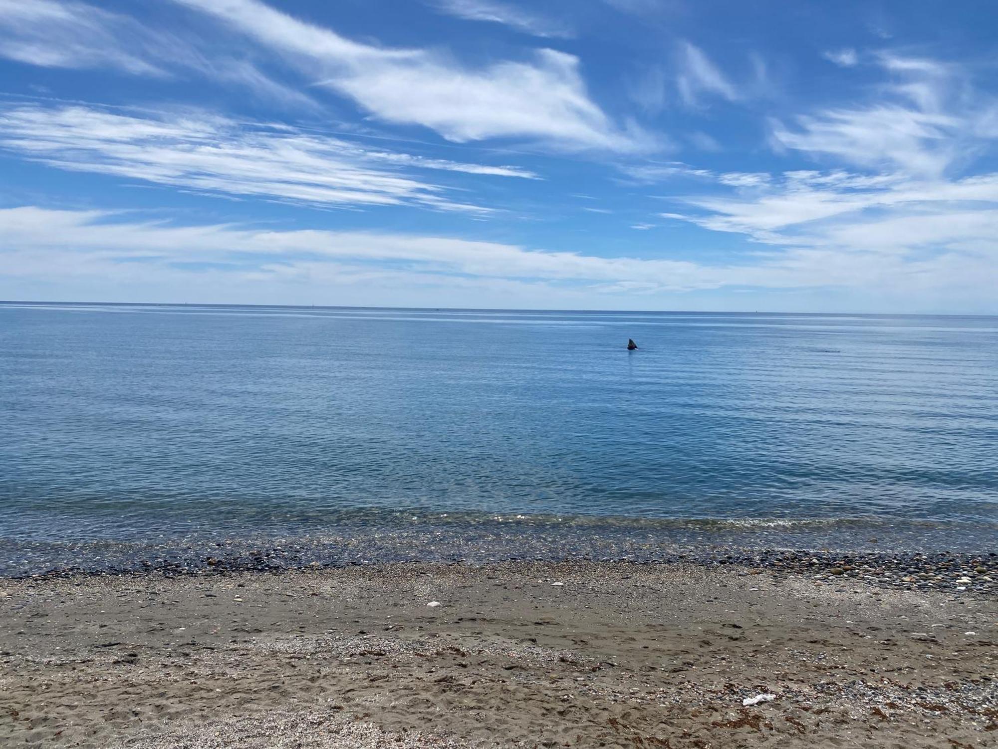 Bahia De Estepona Bagian luar foto